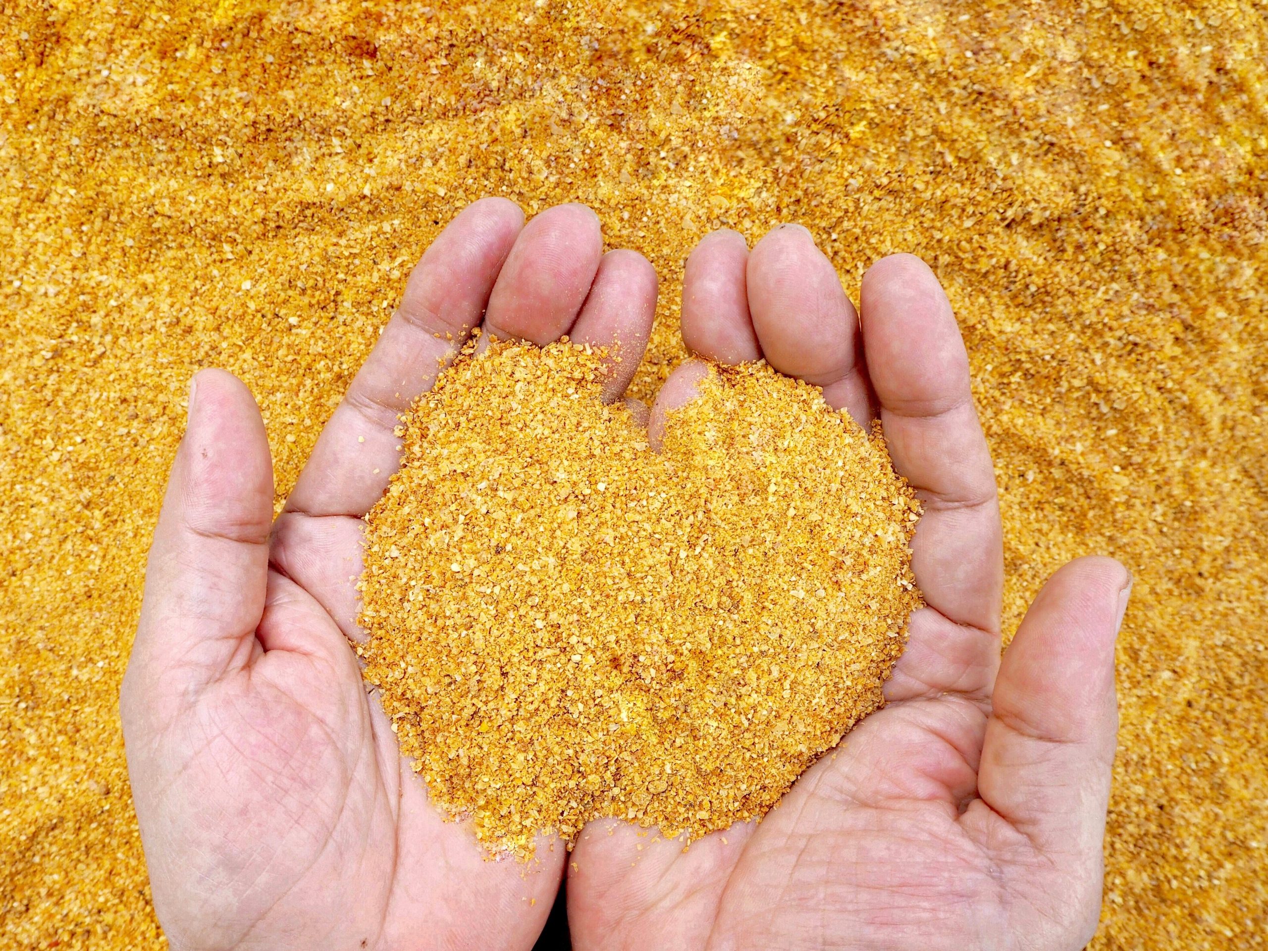 This photo shows a farmer's hands holding co-product. 